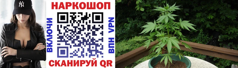 Где купить Пыталово ГАШ  Каннабис  СК  Галлюциногенные грибы  КОКАИН  Меф мяу мяу 