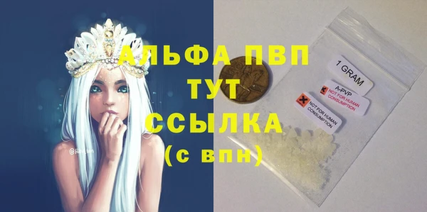 хмурый Алексин