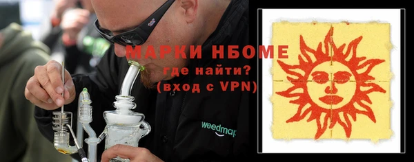 хмурый Алексин